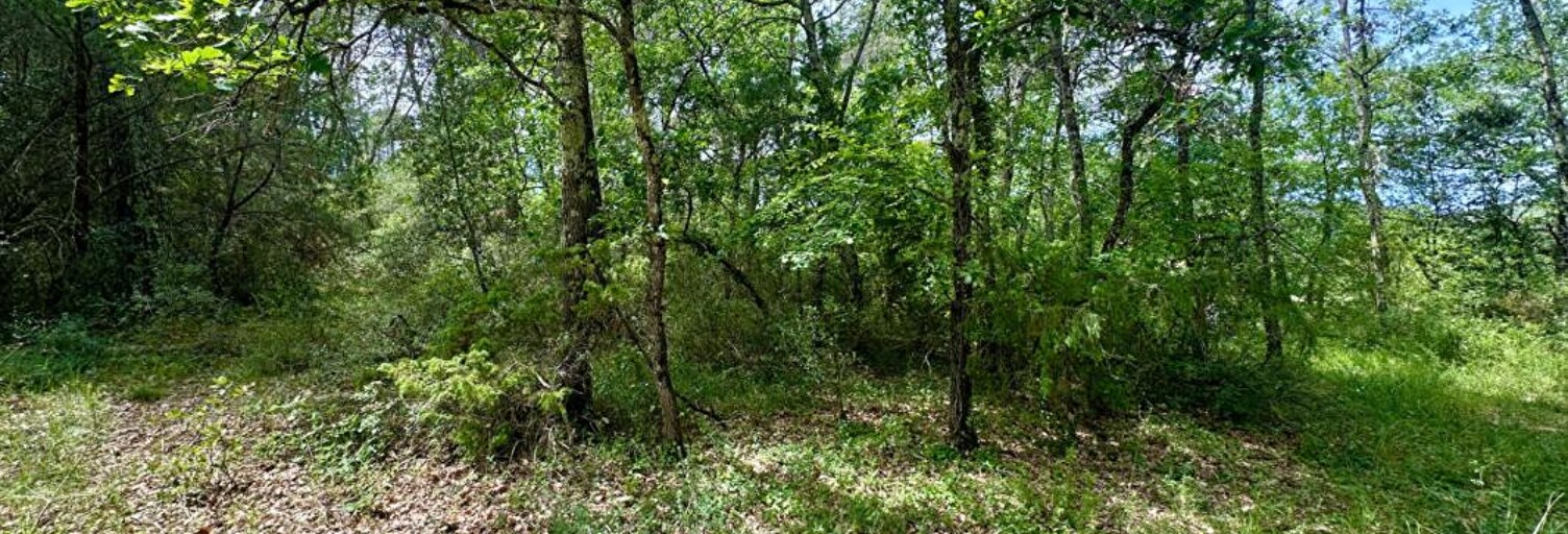 Terrain  7530 m² à vendre à Trans-en-Provence (83720)