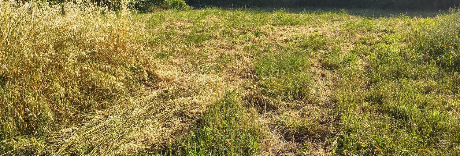 Terrain 455 m² à construire Le Thor (84250)