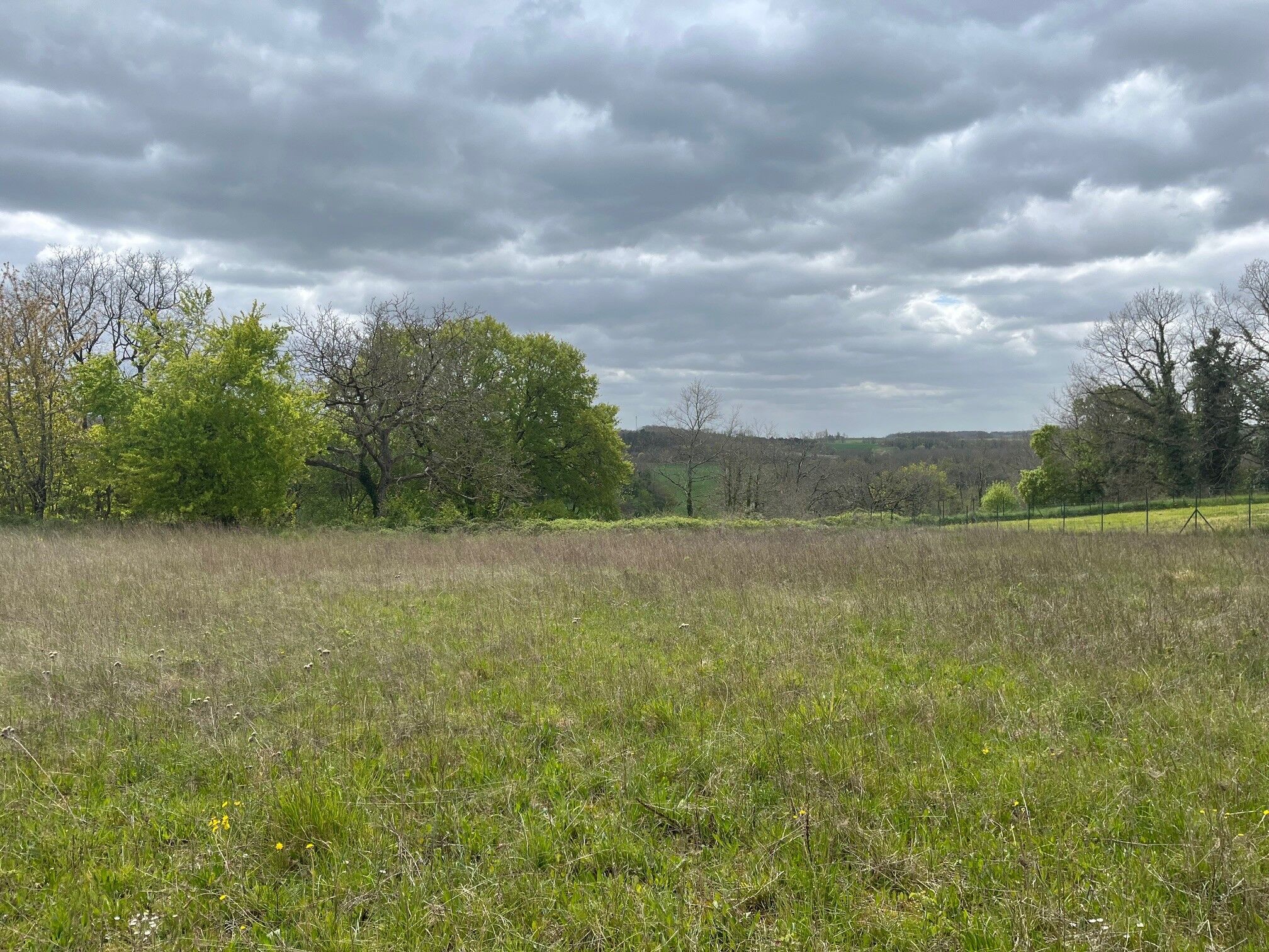 Agence immobilière de Les maisons Aura de Bergerac