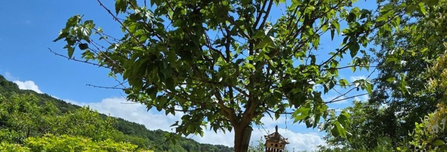 Photo N° 2