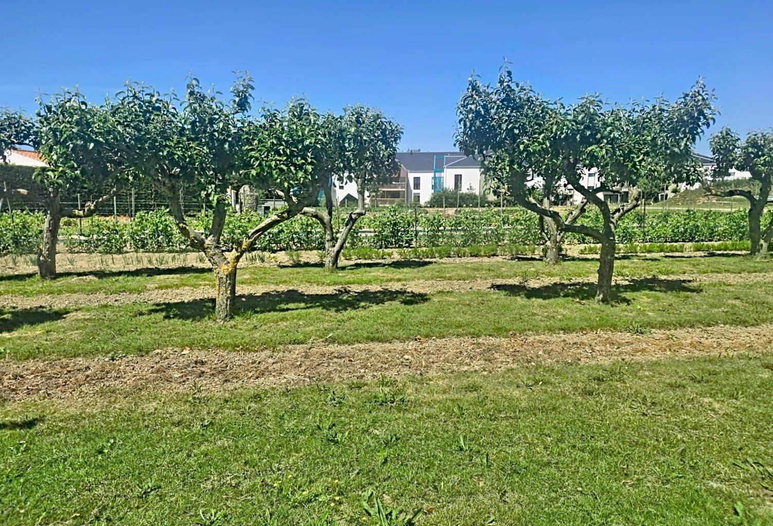 RARE Très beau terrain à bâtir — photo 1