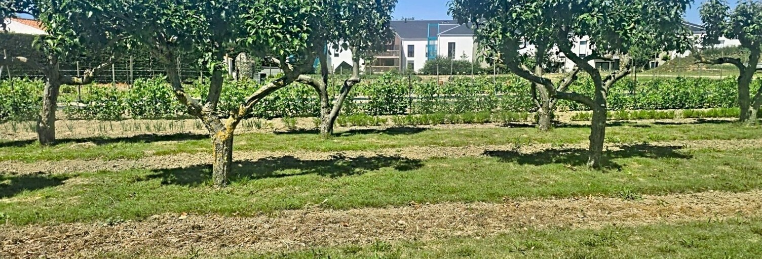 Terrain  1469 m² à vendre à Les Sables-d'Olonne (85180)
