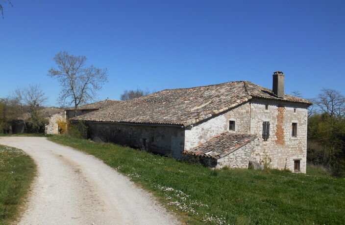 Domaine Agricole — photo 5