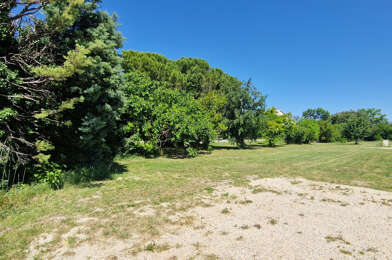 Terrain  118000 €