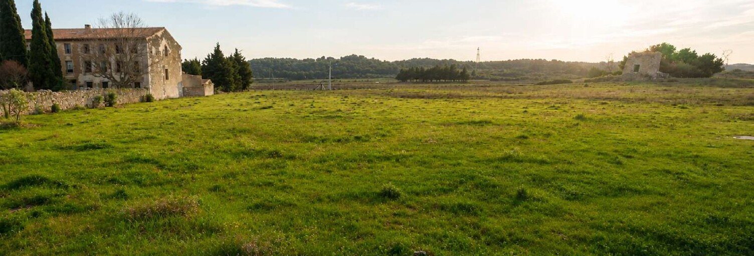 Terrain  3328 m² à vendre à Mailhac (11120)