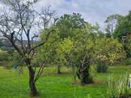 Vente Terrain 400 m&sup2; — photo 3