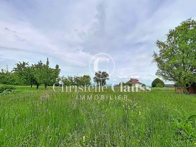 Terrain Folgensbourg 585 m2 — photo du bien