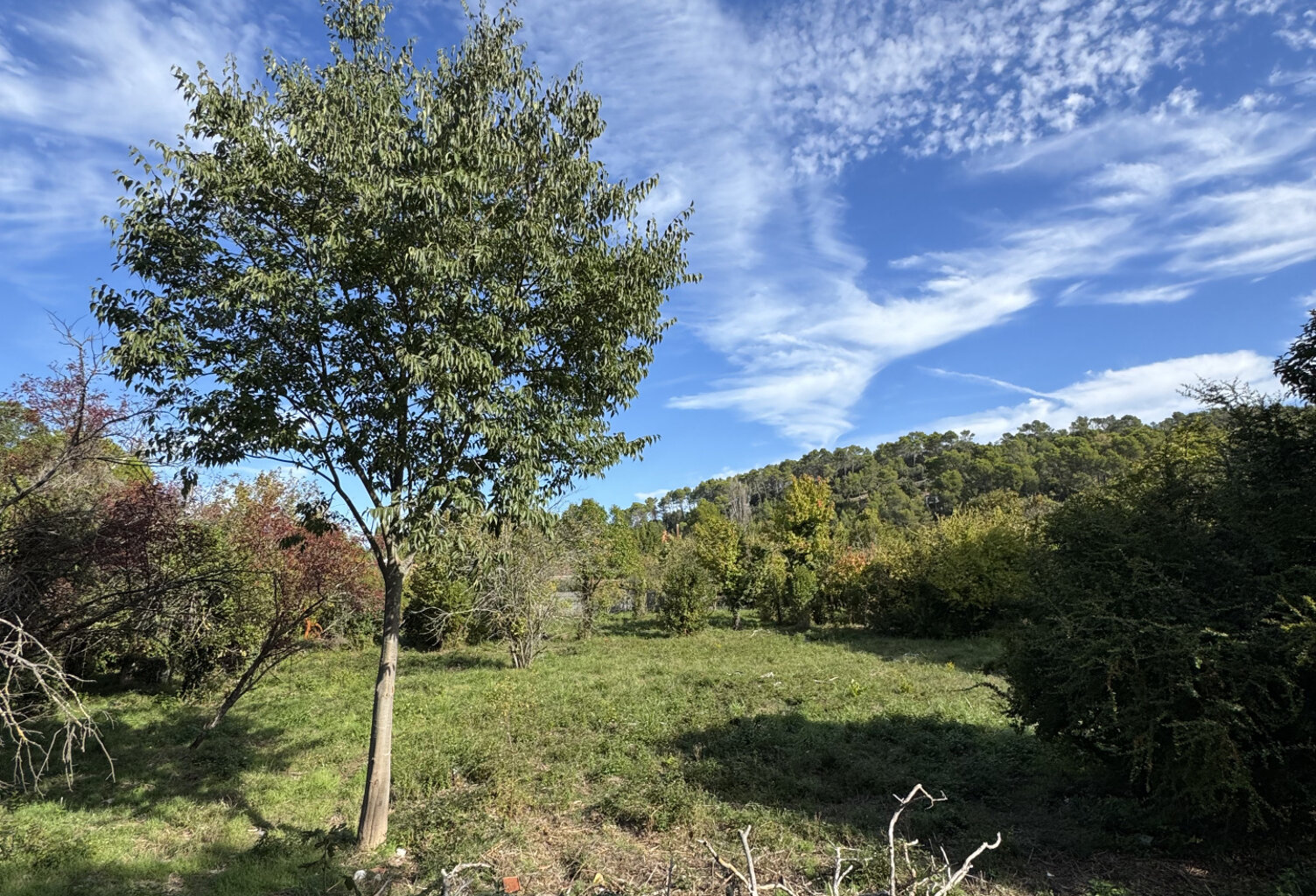 TERRAIN LIBRE DE CONSTRUCTEUR ! — photo 1