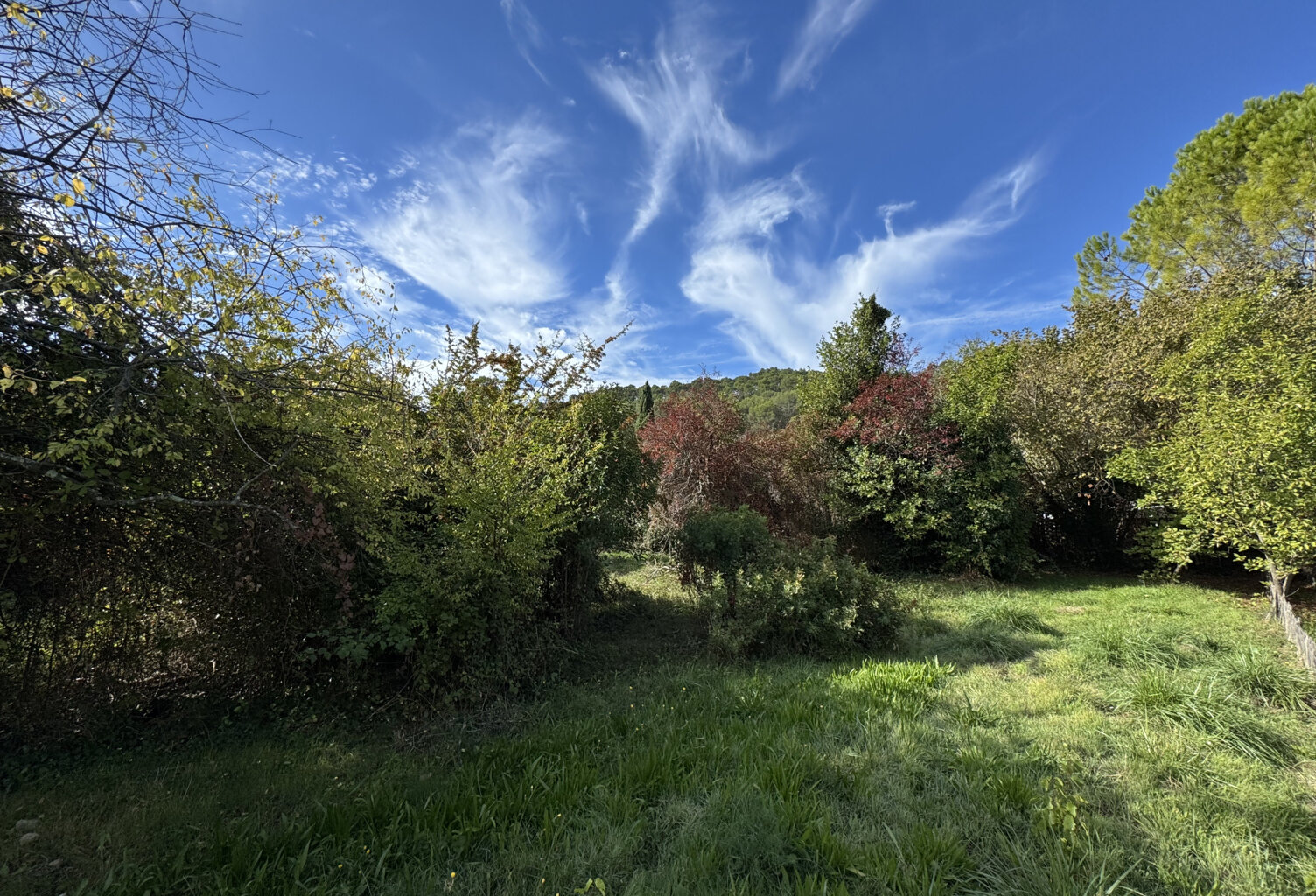 TERRAIN LIBRE DE CONSTRUCTEUR ! — photo 1