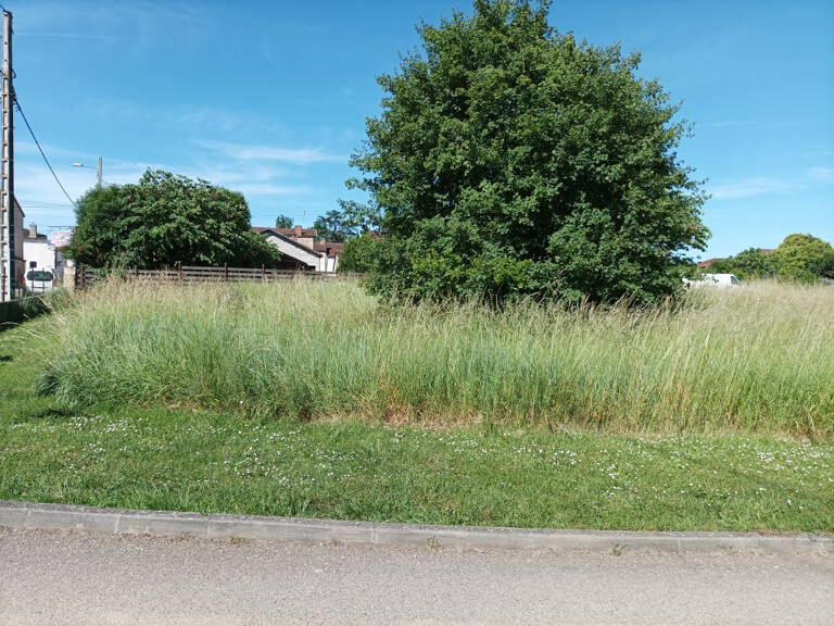 Joli terrain à bâtir viabilisé avec tout à l'égout — photo 1