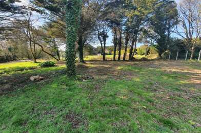 Terrain  392000 €