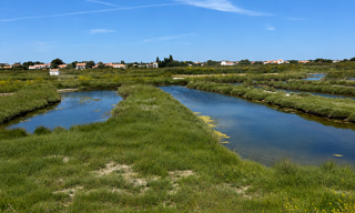 Photo N° 2