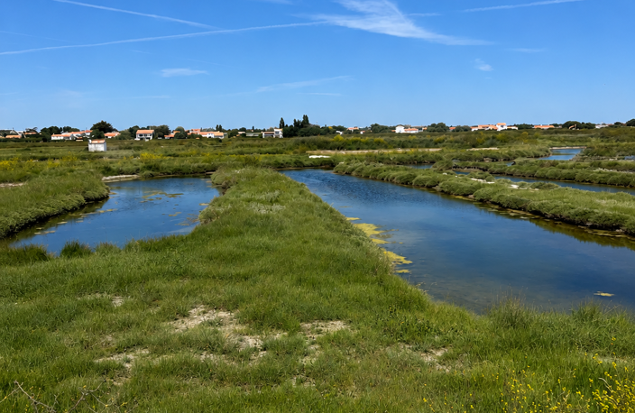 Vente Terrain 38 845 m&sup2; — photo 4