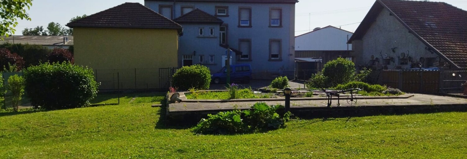 Photo N° 2
