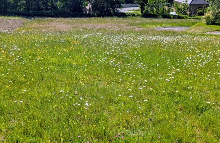 Vente Terrain à bâtir 2 000 m&sup2; — photo 2