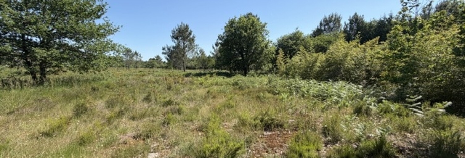 Terrain  30000 m² à vendre à Gujan-Mestras (33470)