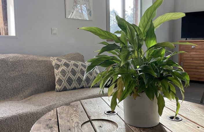 Vente Maison/villa 6 pièces — photo 3