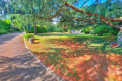 Terrain  269000 €