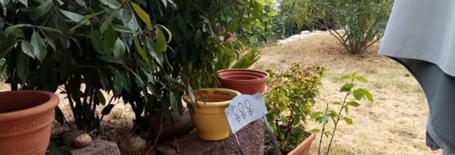 Appartement 2 Pièces 50 m² à louer à Furiani (20600)