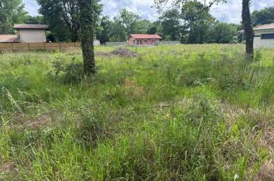 Terrain  263000 €