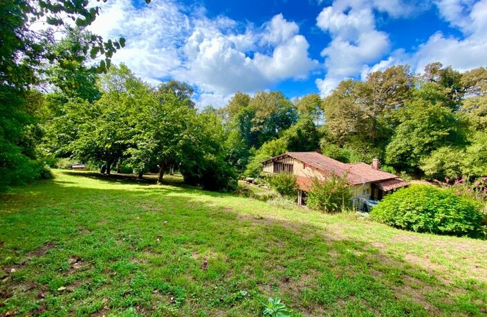 Magnifique Moulin rénové en totalité (DPE D) avec gîte indépendant sur terrain de 3,5HA arboré sans vis à vis BOUGUE (40) — photo 2