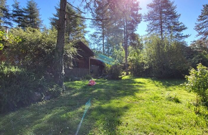 EXCLUSIVITÉ : "Murmures d'Arbres" à Labroquère  (31) — photo 2