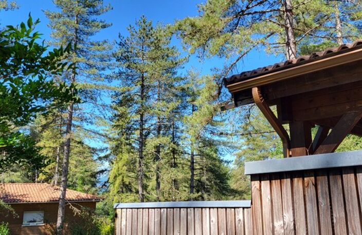 EXCLUSIVITÉ : "Murmures d'Arbres" à Labroquère  (31) — photo 4