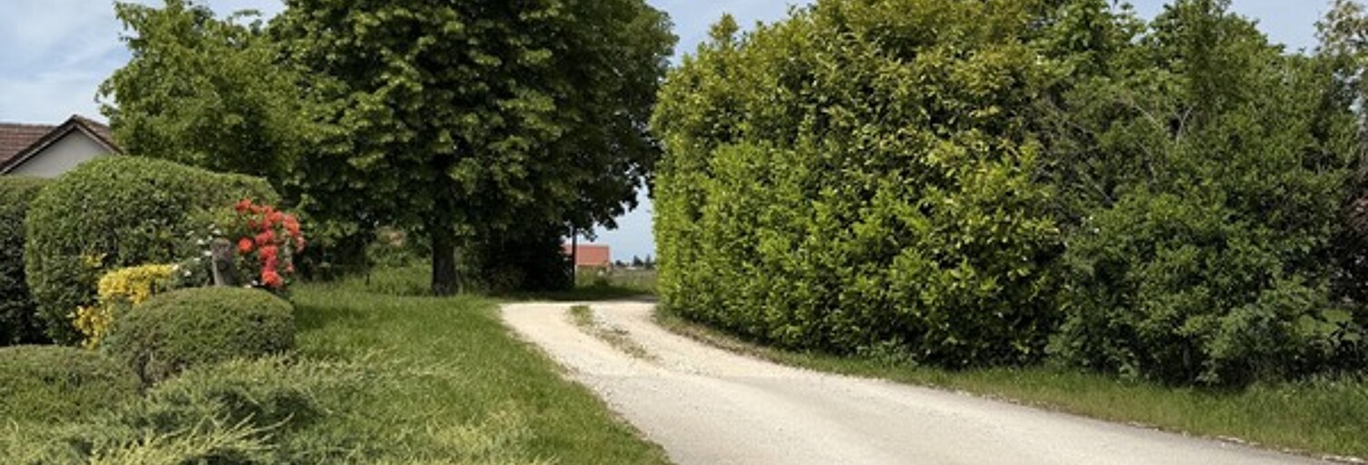 Terrain  654 m² à vendre à Arceau (21310)