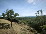 Terrain avec vue – 1 431 m² – Tartaras — photo 3