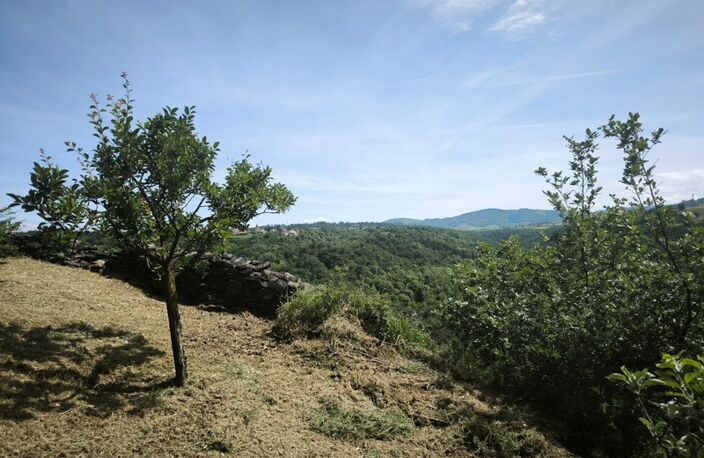 Terrain avec vue – 1 431 m² – Tartaras — photo 3