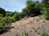 Terrain avec vue – 1 431 m² – Tartaras — photo 4
