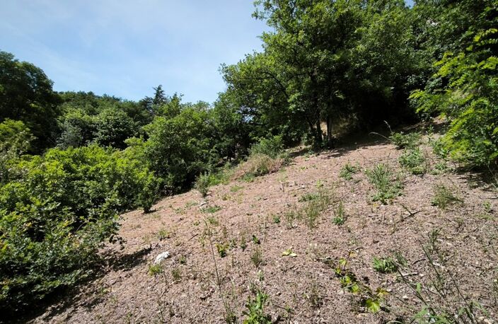 Terrain avec vue – 1 431 m² – Tartaras — photo 4