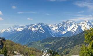 Photo N° 2