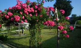 Photo N° 2