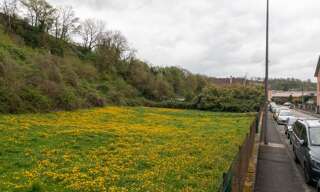 Terrain  4561 m² à vendre à Belfort (90000)
