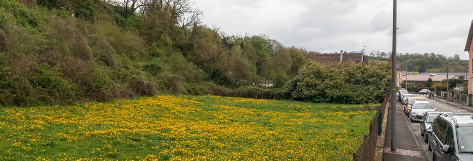 Terrain  4561 m² à vendre à Belfort (90000)
