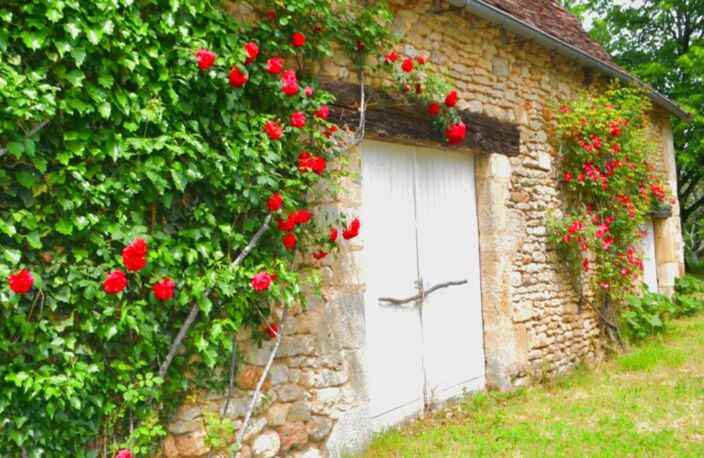 Périgourdine  de 1814, au cœur de 6.9 ha de nature — photo 5