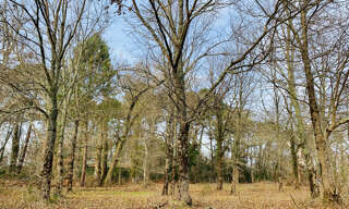Terrain  790 m² à vendre à Lège (33950)