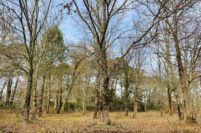 Terrain  249000 €