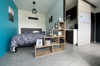 Appartement 2 pièces 565 €