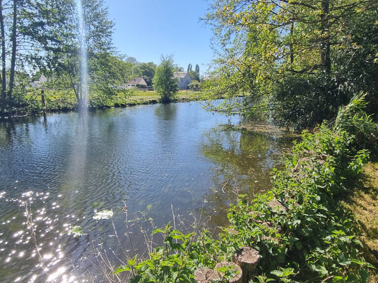 Proche Châteaudun : terrain de loisir avec bord d'eau — photo 1