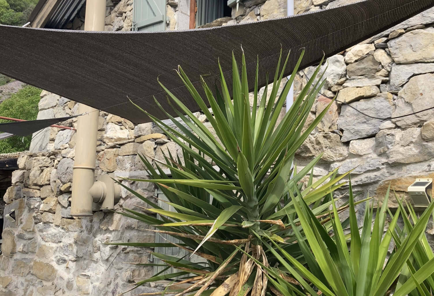 Superbe bergerie située à Ilonse — photo 1