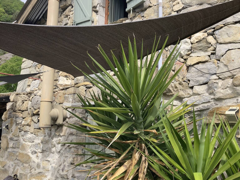 Superbe bergerie située à Ilonse — photo 1
