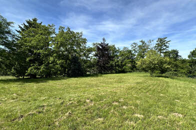 Terrain  250000 €