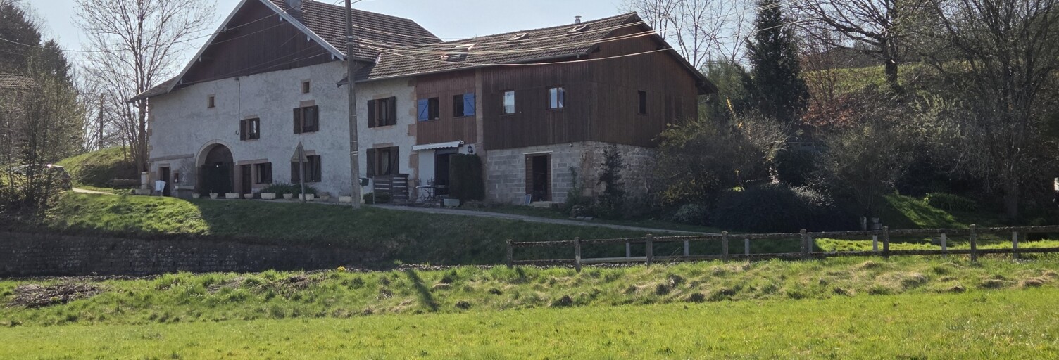 Maison 20 Pièces 344 m² à vendre à Docelles (88460)