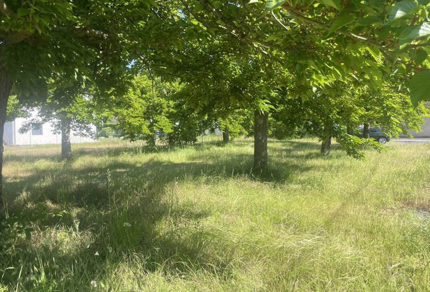 Terrain à bâtir de 0 pièces principales — photo 1