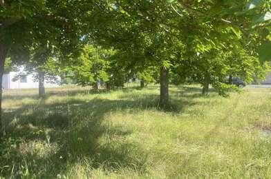 Terrain  119460 €