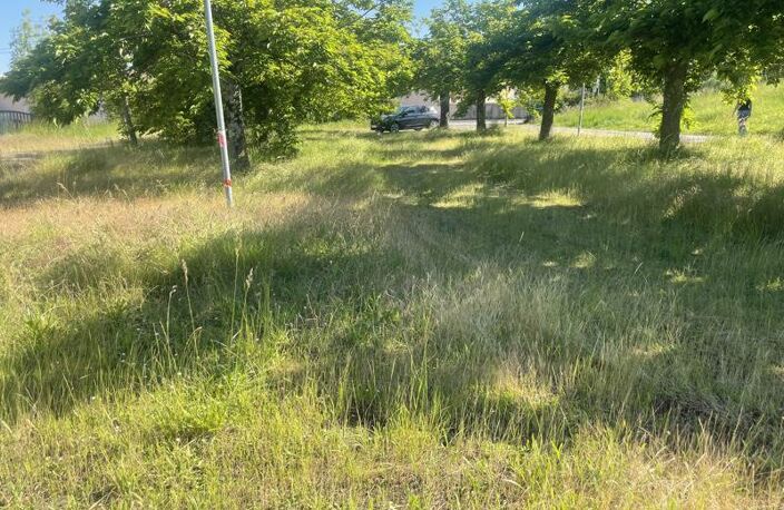 Terrain à bâtir de 0 pièces principales — photo 3