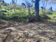 Terres landes frîches — photo 2