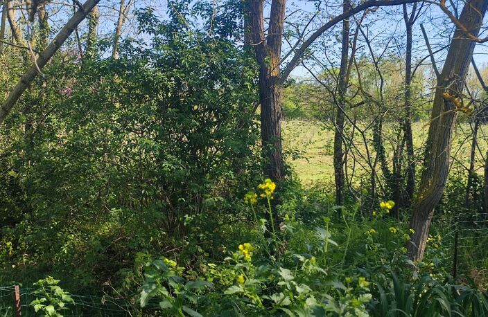 Terres landes frîches — photo 4